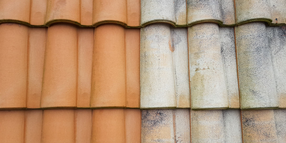 traitement de toiture rezé