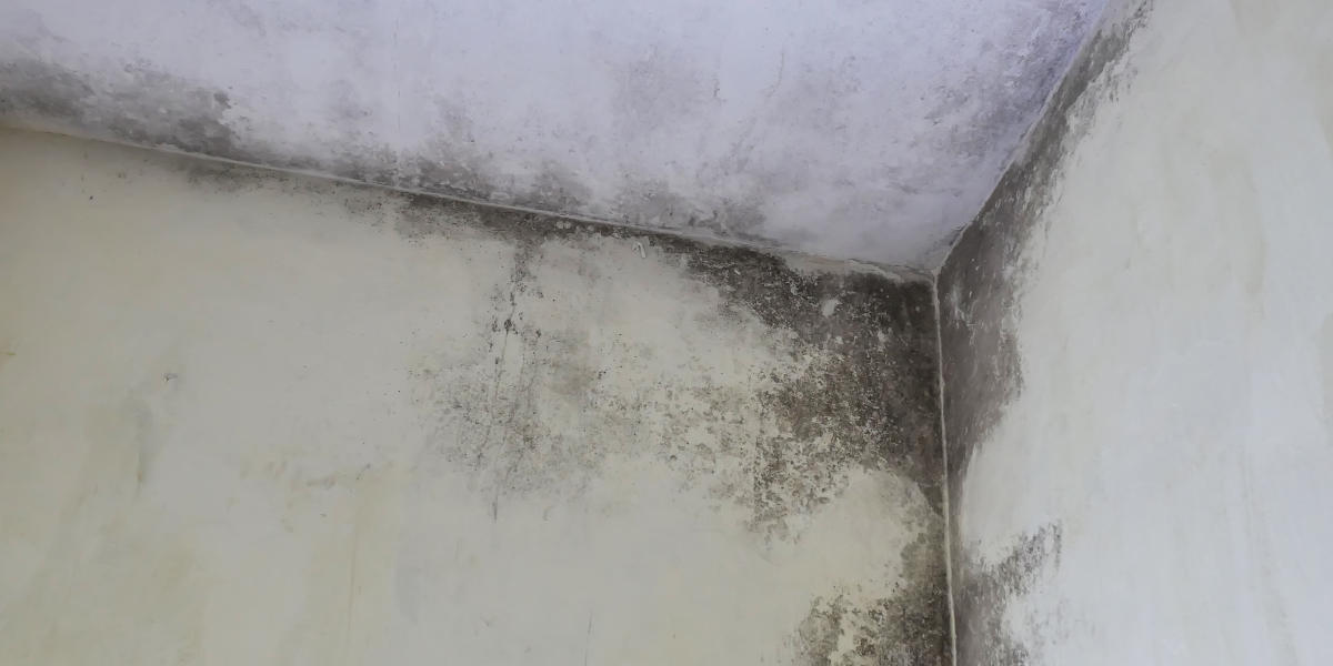 recherche de fuite rezé