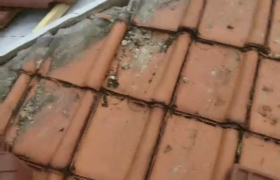 Réfection de toiture complète à Rezé